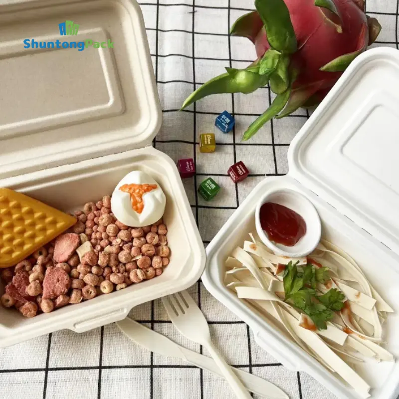 China Sugarcane Bagasse Takeout Box China Sugarcane Bagasse Takeout Box