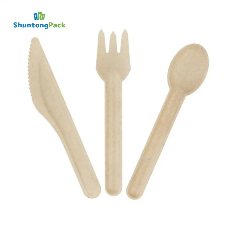 Disposable Bagasse Cutlery Sets