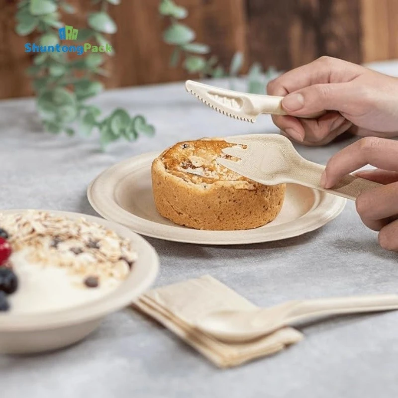 Disposable Bagasse Cutlery Sets manufacturers Disposable Bagasse Cutlery Sets manufacturers