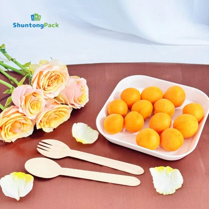 Eco Friendly Wooden Spork manufacturers Eco Friendly Wooden Spork manufacturers