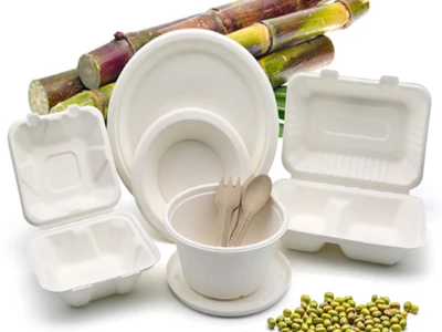 Why Is Sugarcane Bagasse Used for Disposable Food Packaging?