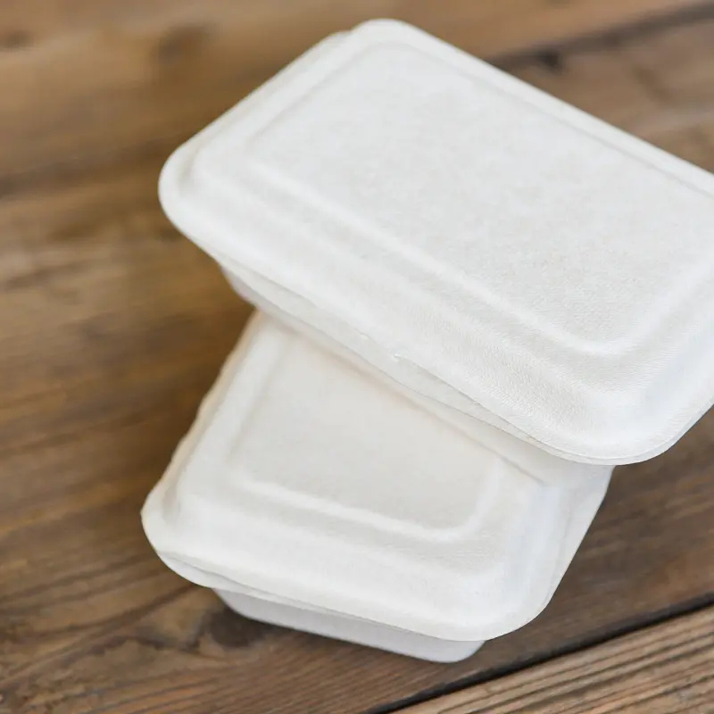 OEM Sugarcane Bagasse Takeout Box OEM Sugarcane Bagasse Takeout Box