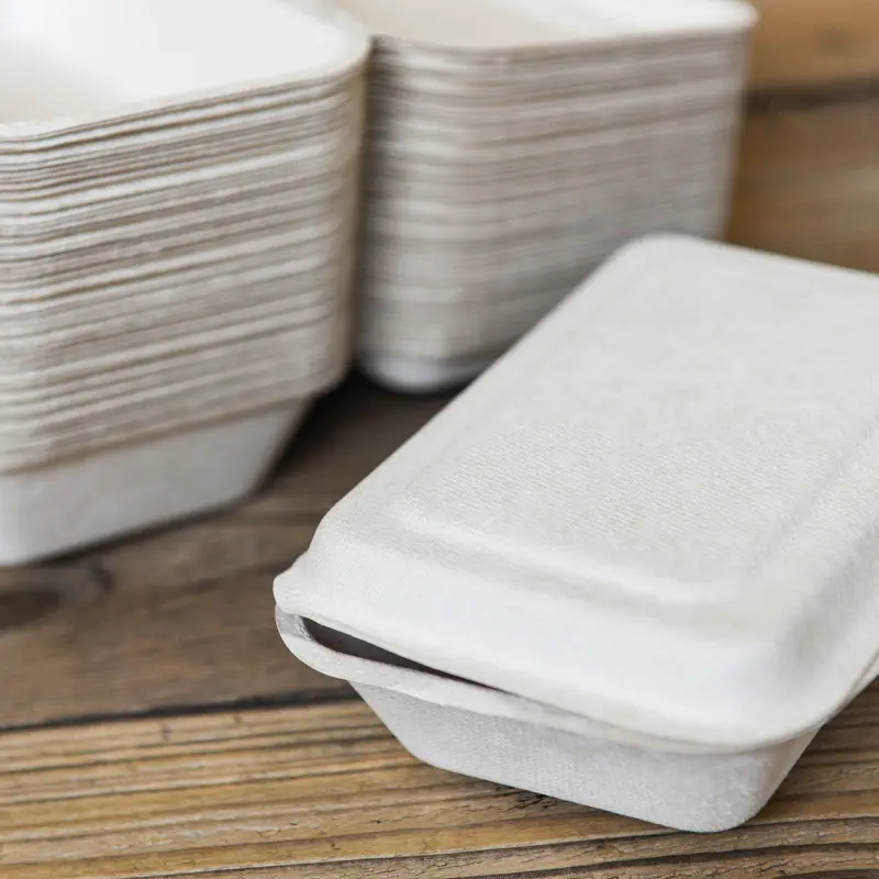 Sugarcane Bagasse Takeout Box supplier Sugarcane Bagasse Takeout Box supplier