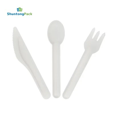 Bagasse Set Fork Spoon Knife