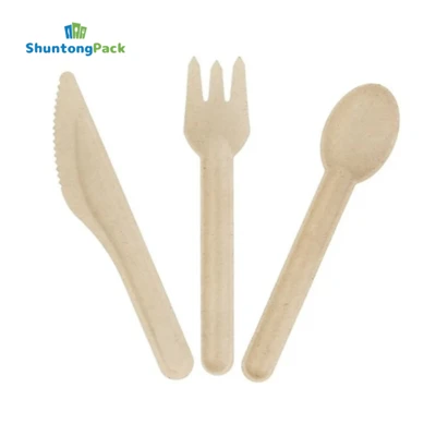 Disposable Bagasse Cutlery Sets