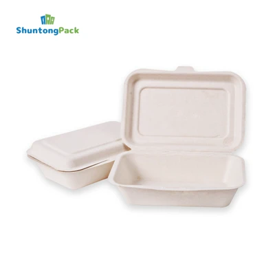 Sugarcane Bagasse Takeout Box