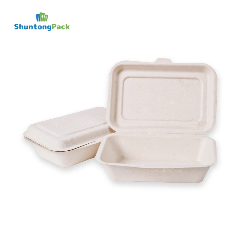 Sugarcane Bagasse Takeout Box