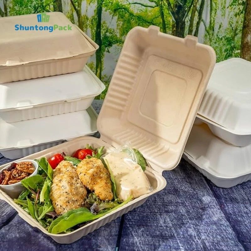 Sugarcane Bagasse Takeout Box supplier Sugarcane Bagasse Takeout Box supplier
